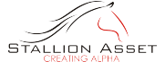 Stallion Asset